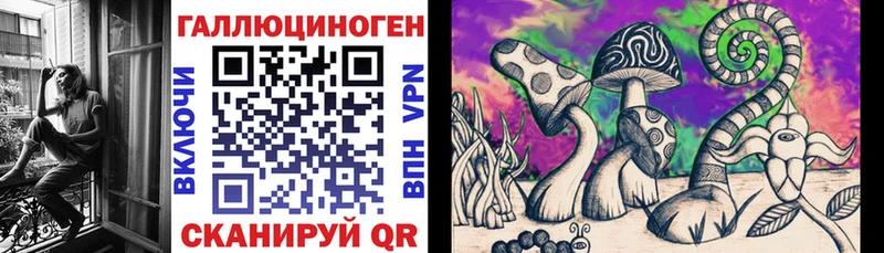 Купить где Холм Псилоцибиновые грибы мицелий